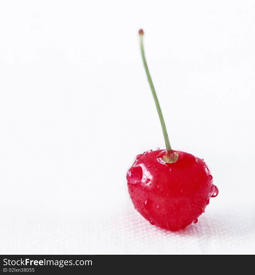 Ripe red cherries on a white background