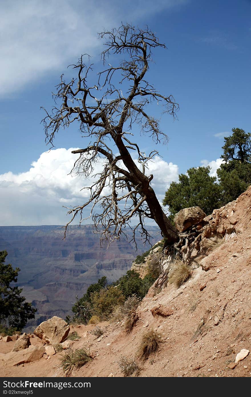 View of the Grand Canyon panorama. View of the Grand Canyon panorama