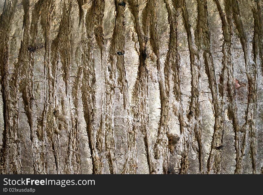 Old wooden trunk