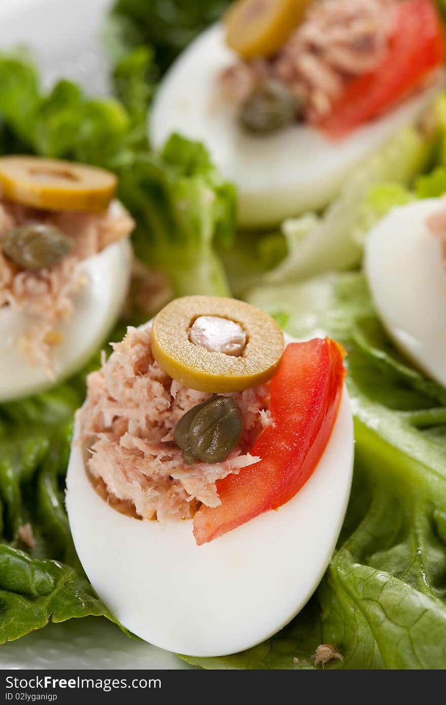 Salad plate of letuce egg tuna and olive. Salad plate of letuce egg tuna and olive