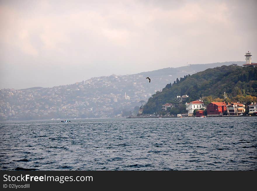 Sea side in bosporus birds are flying. Sea side in bosporus birds are flying