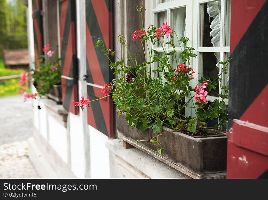 Window with flowers