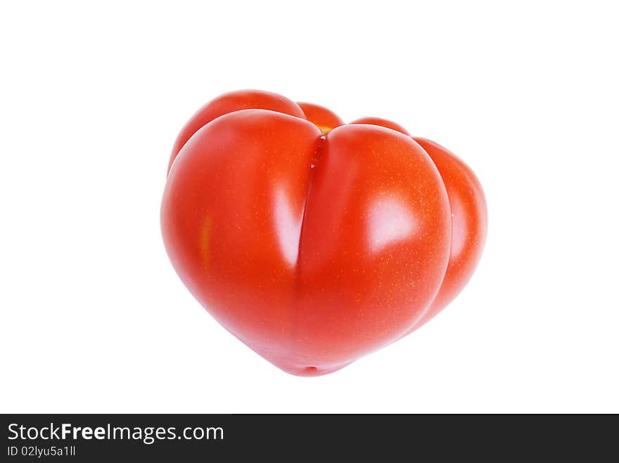 Red tomato is on the white background