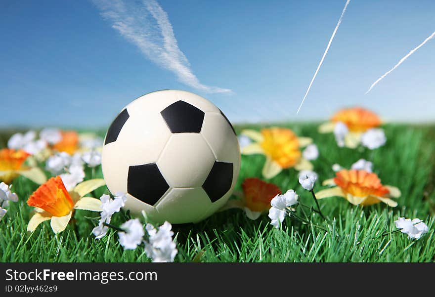 Soccer ball in a field with flowers