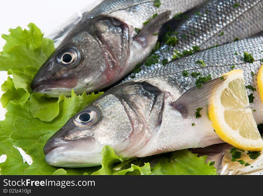 Fish isolated on white background