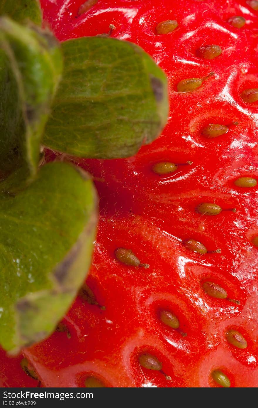 Close up on a strawberry with leaves.