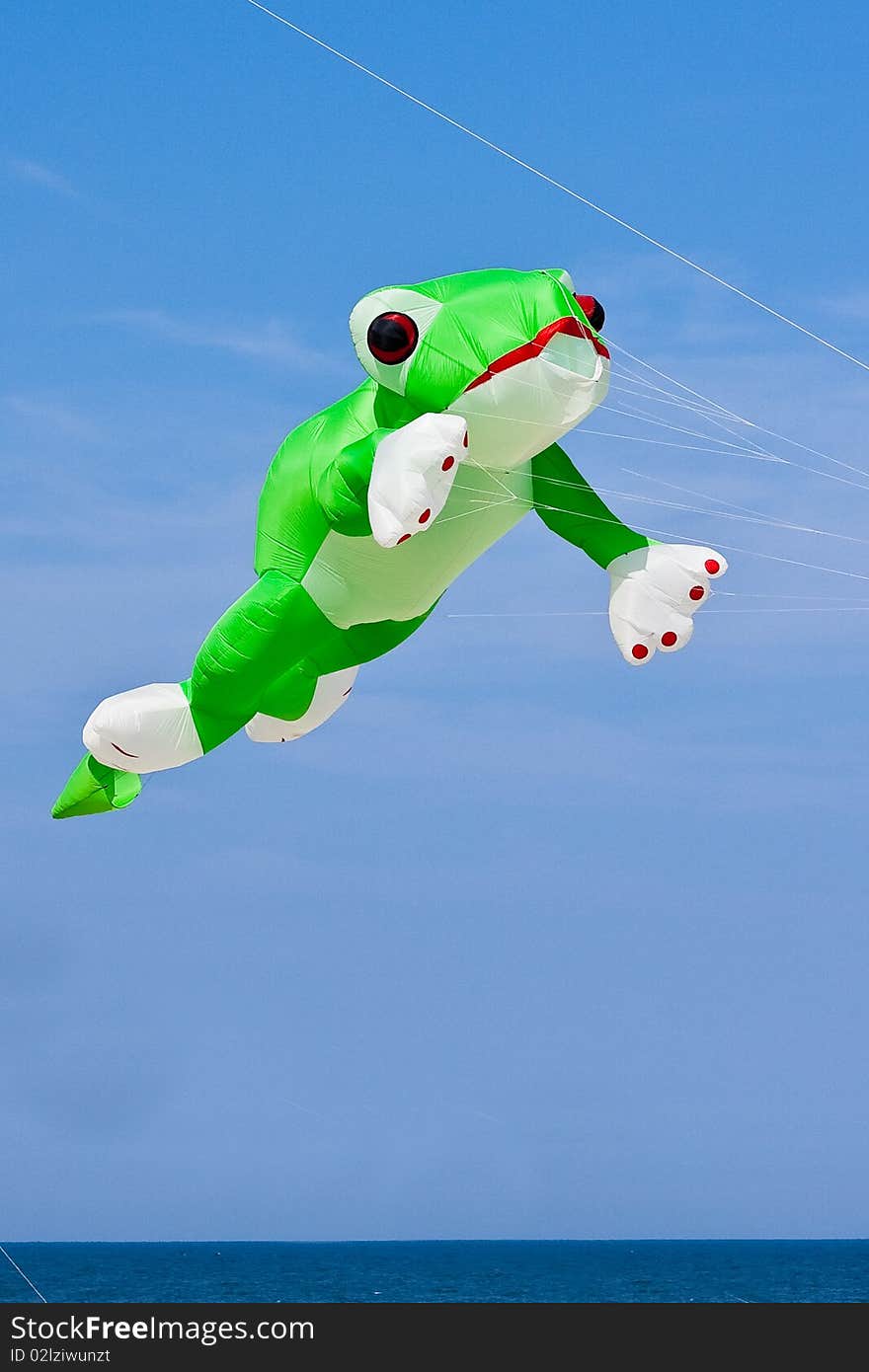 Frog Kite flying over the ocean