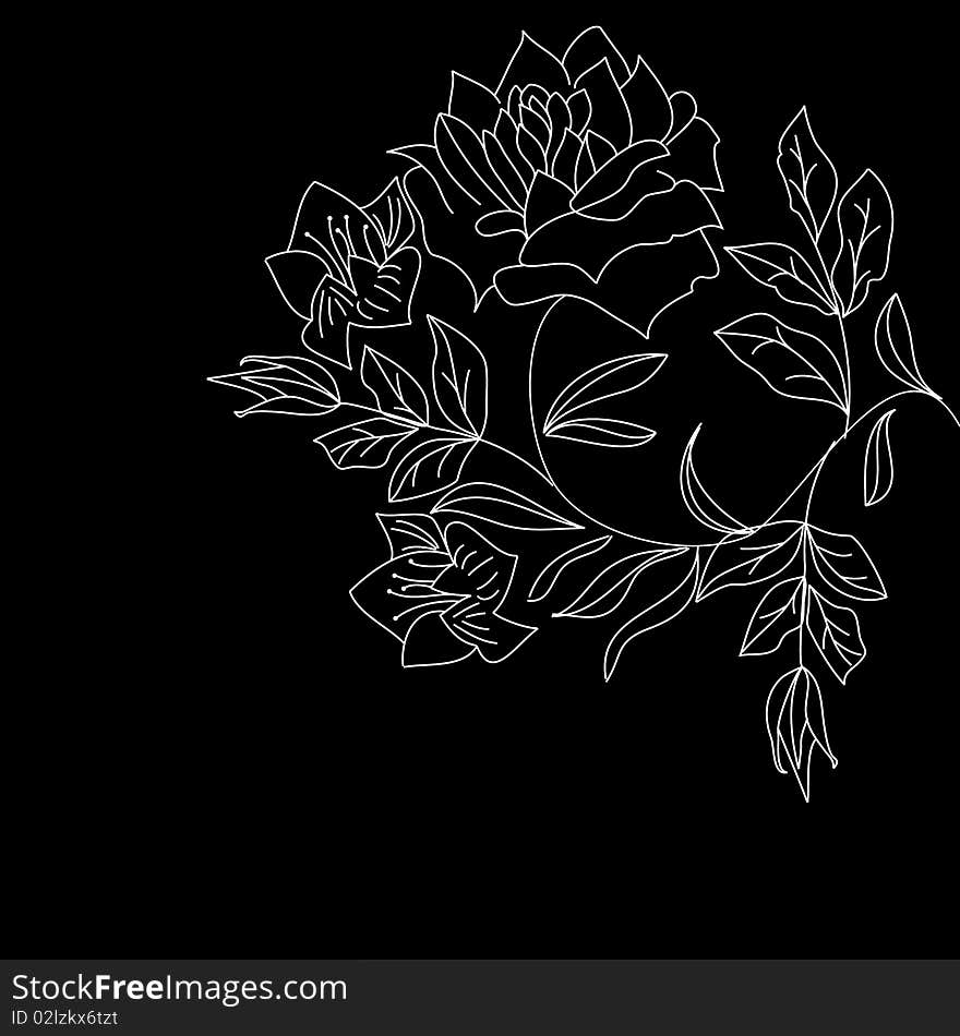 White flowers on black. Universal template for greeting card, web page, background