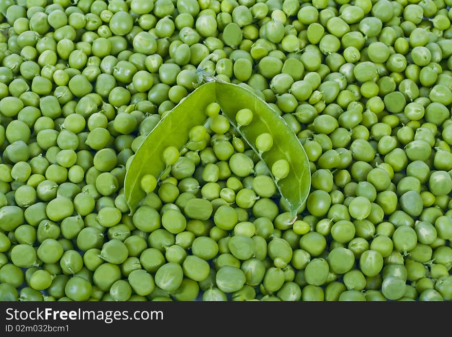 Pea