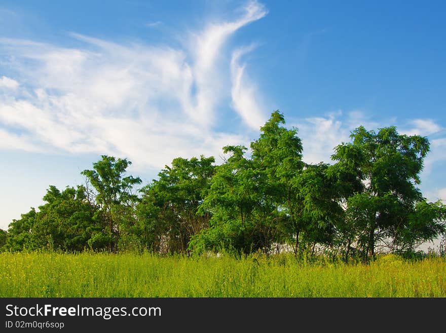 Beautiful summer landscape on a sunny day. Beautiful summer landscape on a sunny day