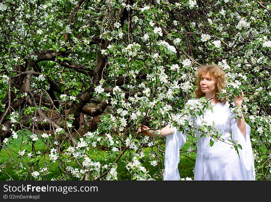 A blonde girl in white dress among white flowers. A blonde girl in white dress among white flowers