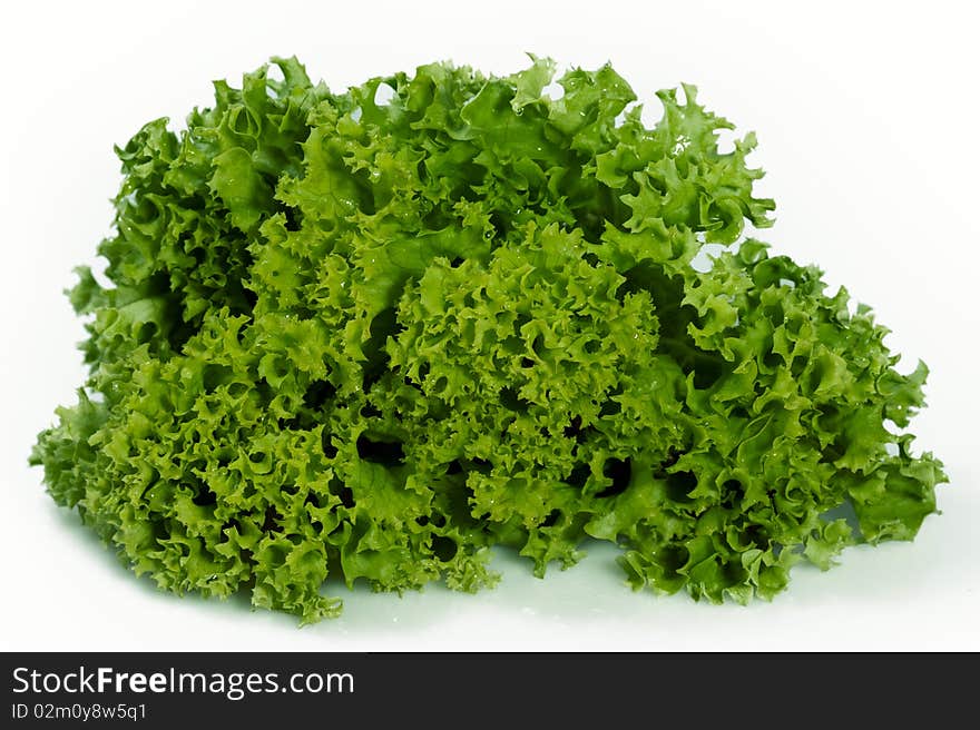 Lettuce isolated on white background