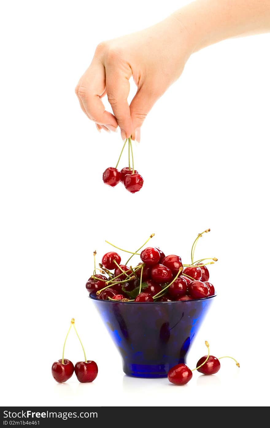 Cherries in hand