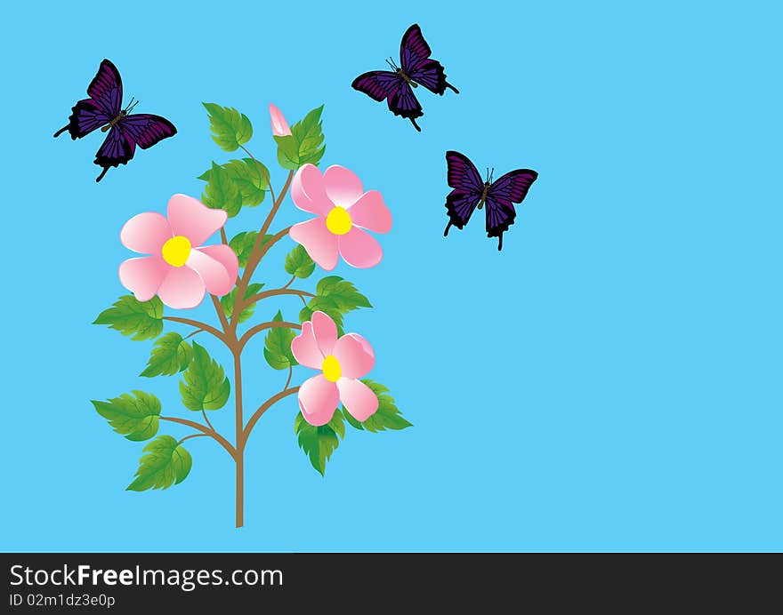 Flowers and butterflies. Vector.