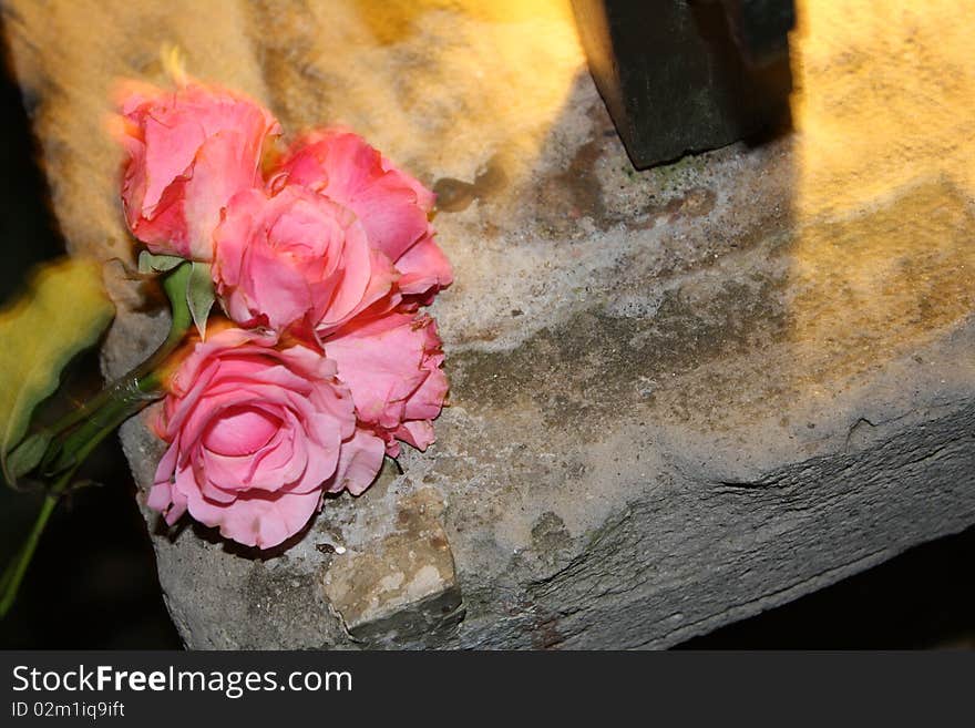 Flower and stone