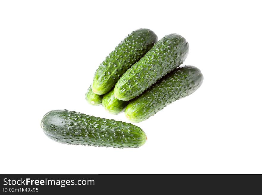 Fresh cucumber on white background