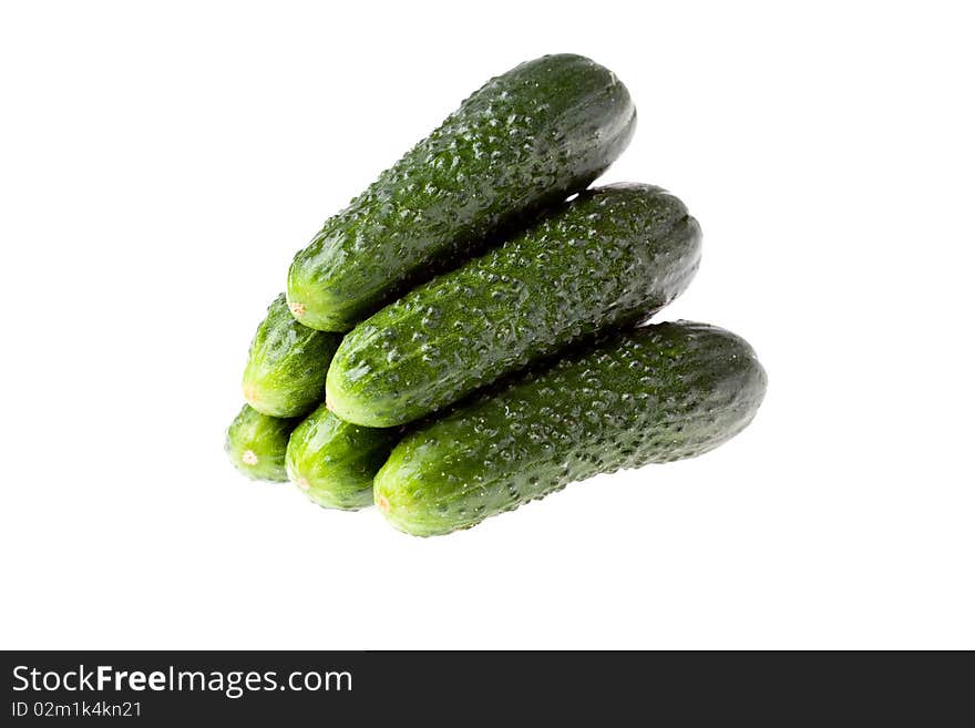 Small circle fresh cucumber on white background