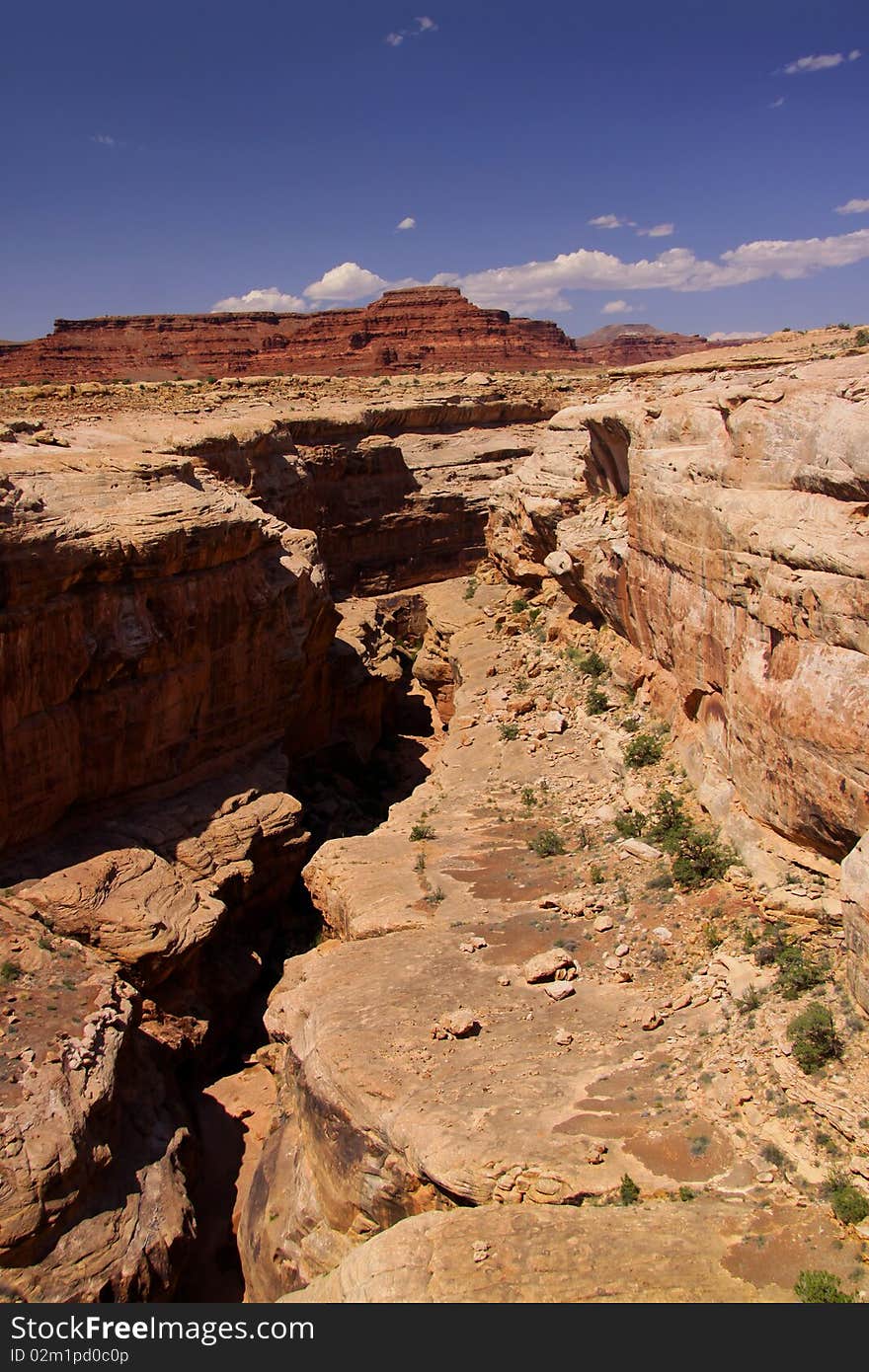 Colorado river canyon