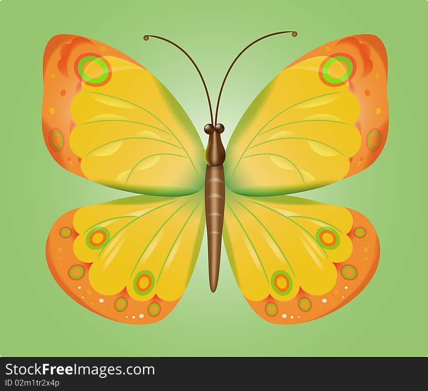 abstract butterfly, vector isolated on a green background