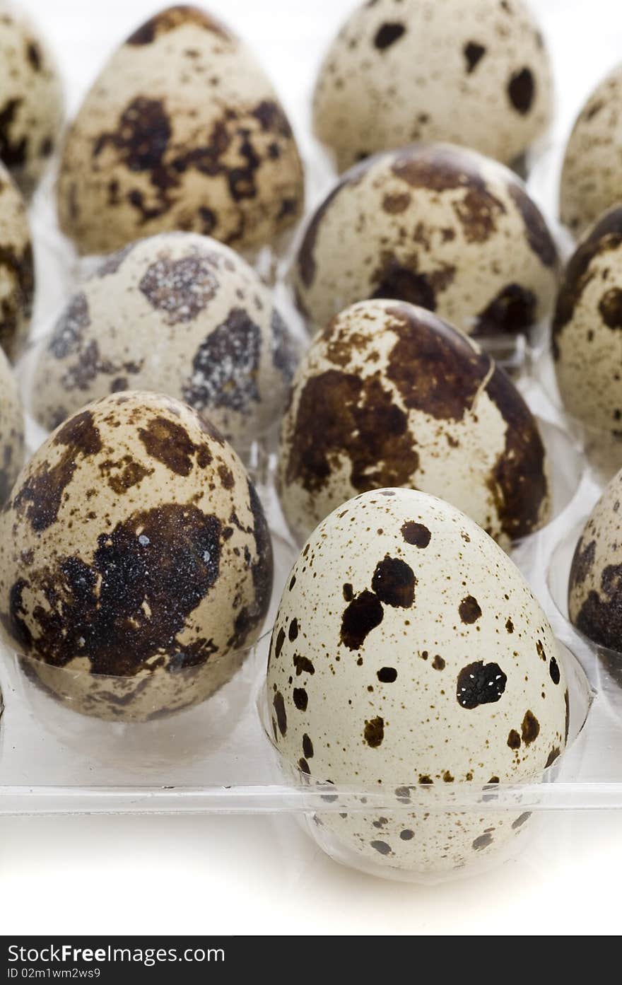 Quail Eggs