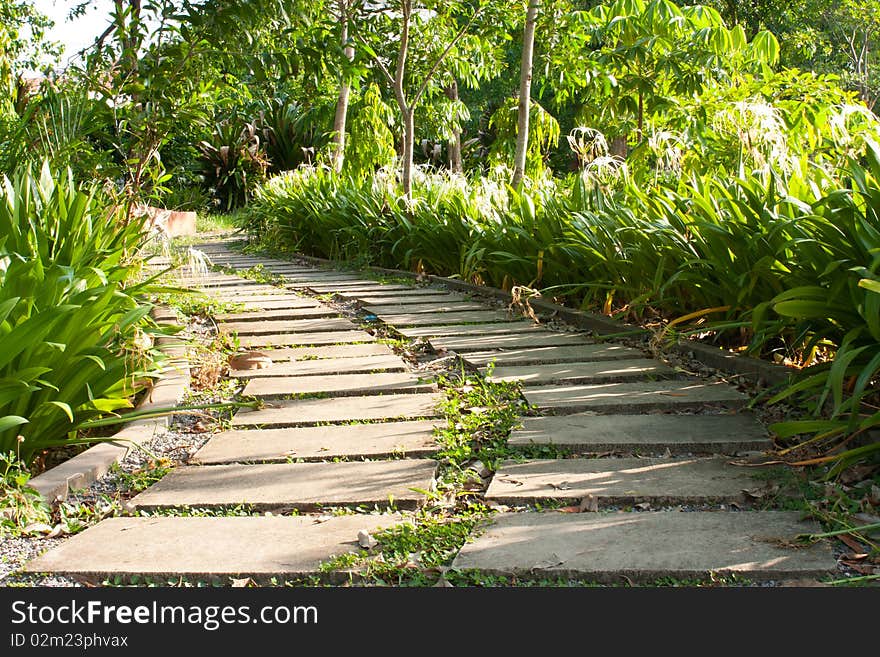 Sidewalk goto the way,sidewalk in the park