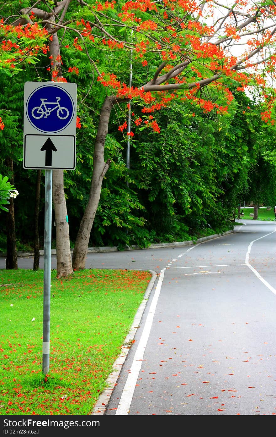 The bicycle way in the garden