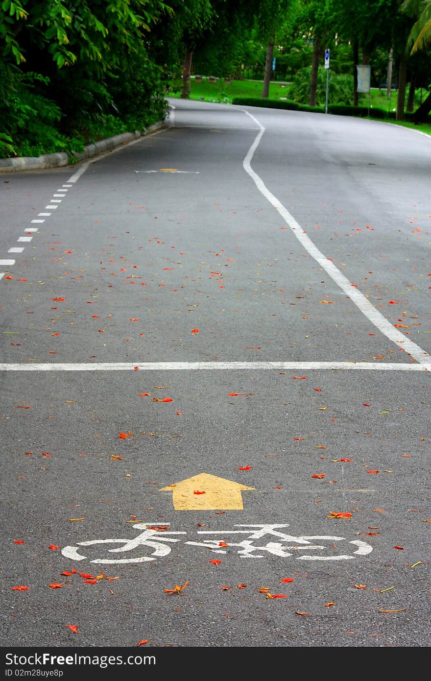 The bicycle way in the garden