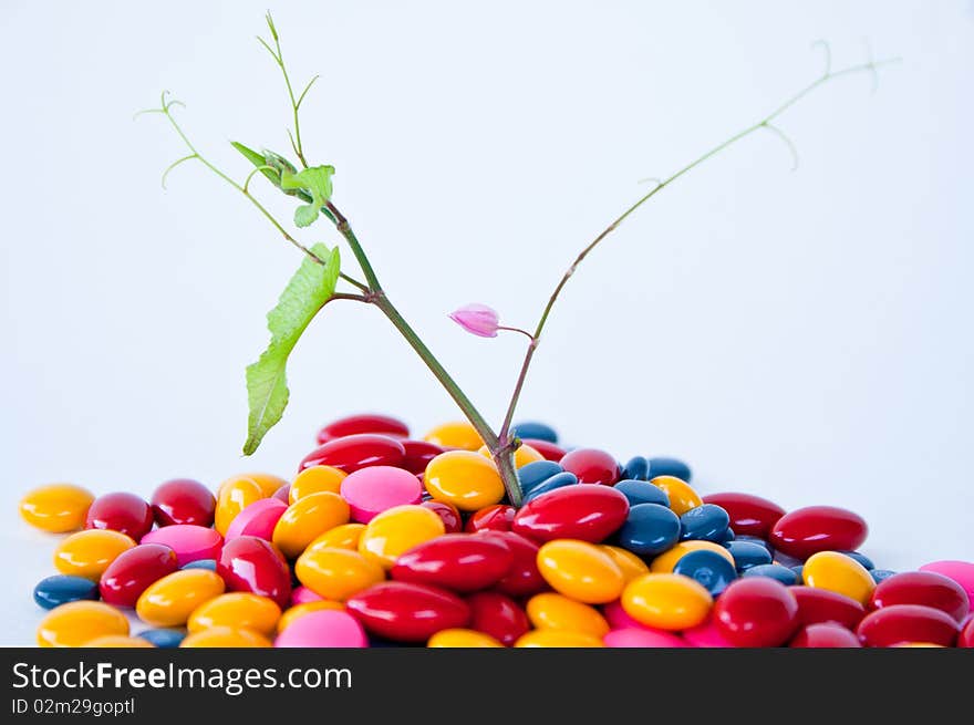 Colour of drug look like candy with tree. Colour of drug look like candy with tree