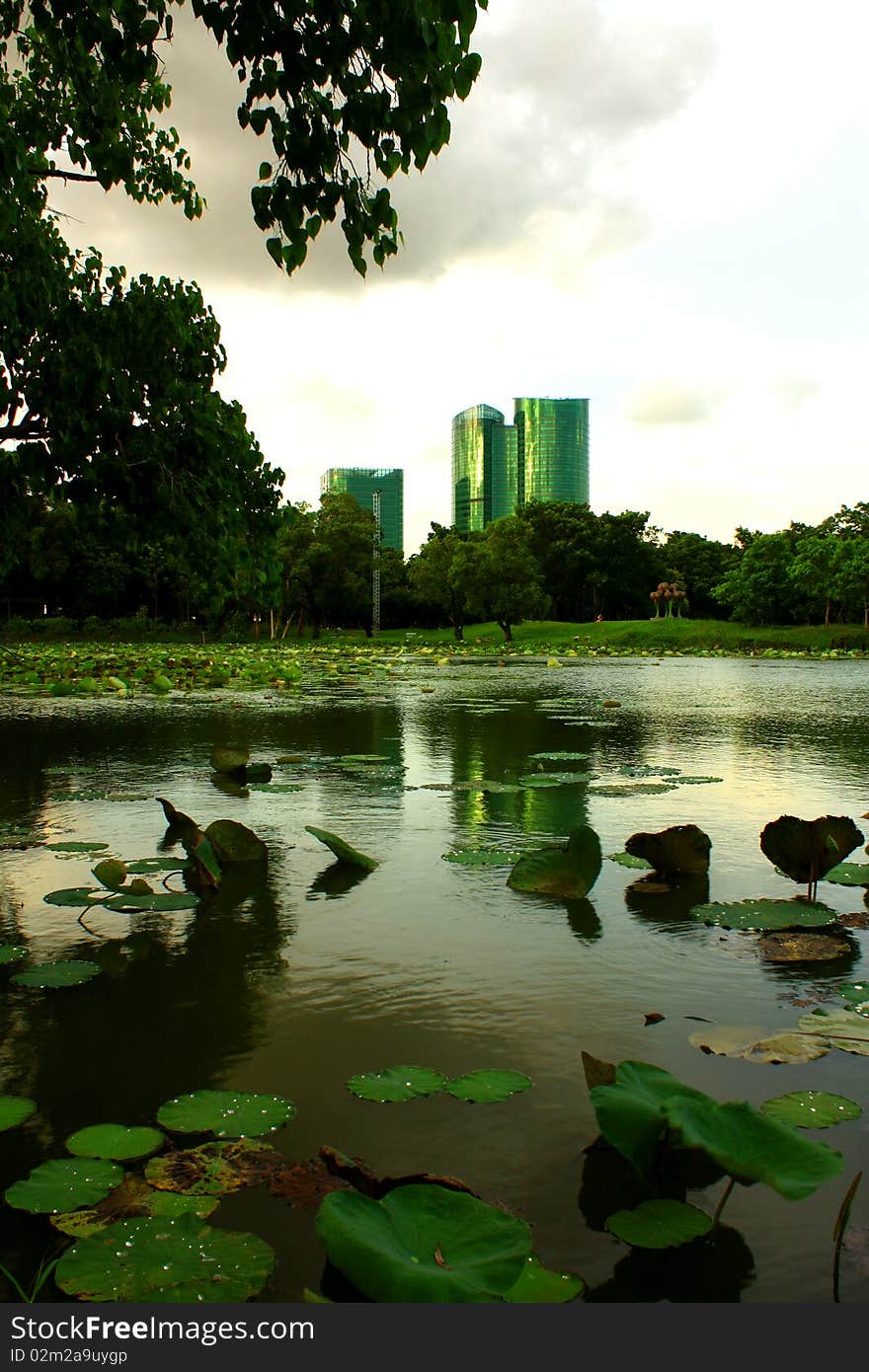 The building in green concept