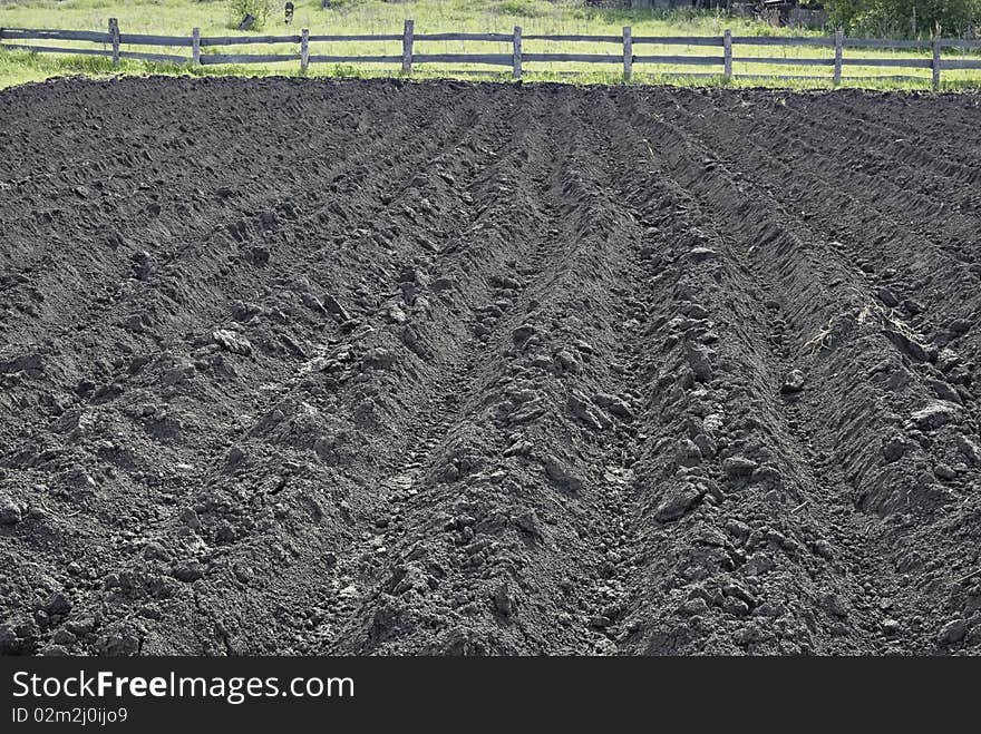 Earliest period of growing potato field without green plants. Only earth rows. Earliest period of growing potato field without green plants. Only earth rows.