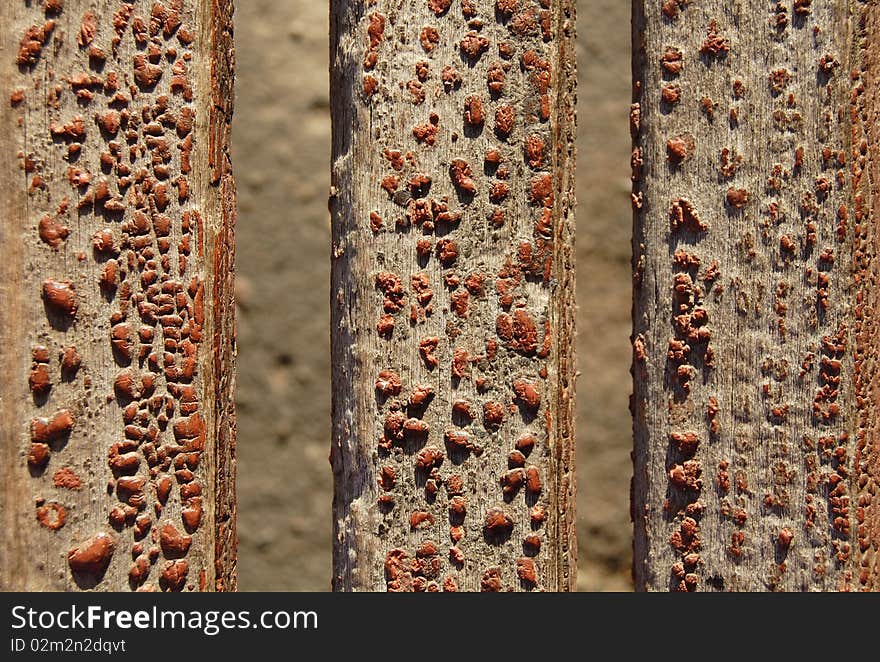 The abstract, wooden background with orange drops old paint