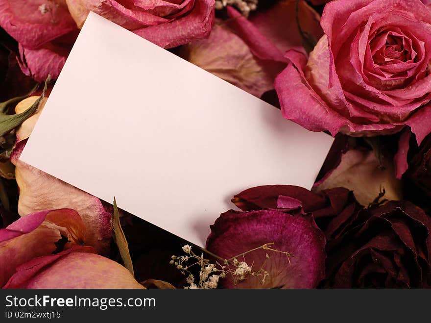 Empty card for your message on romantic dried roses background. Empty card for your message on romantic dried roses background