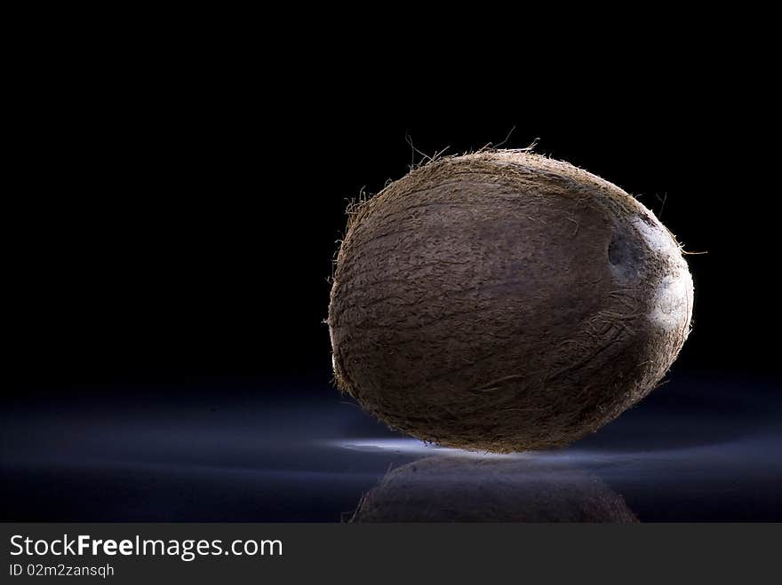 Coconut on a dark background