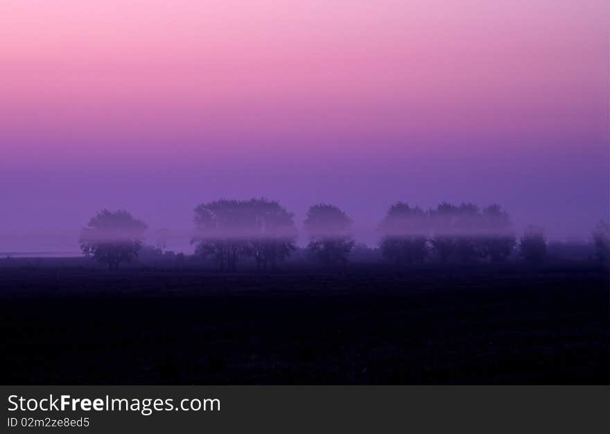 Morning Mist On The Field