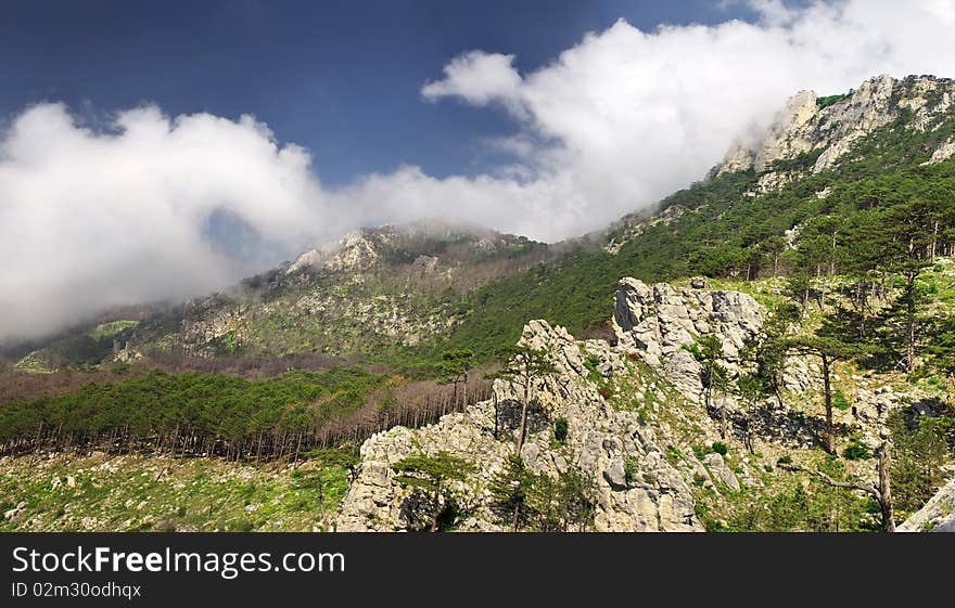 Mountain array with wood and greater white cloud. Natural composition.