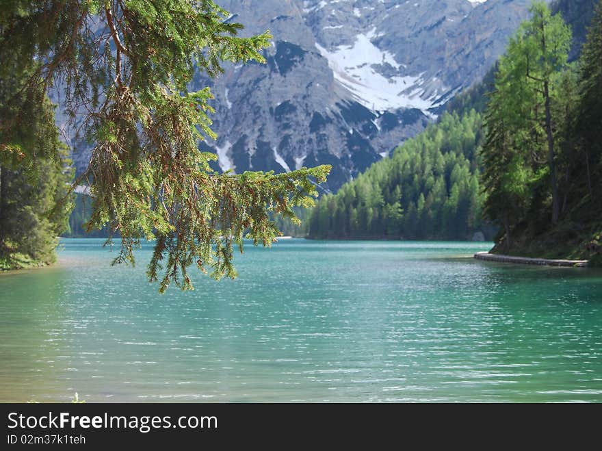 Landscape of Braies lake in northern italy: pines and dolomites. Landscape of Braies lake in northern italy: pines and dolomites