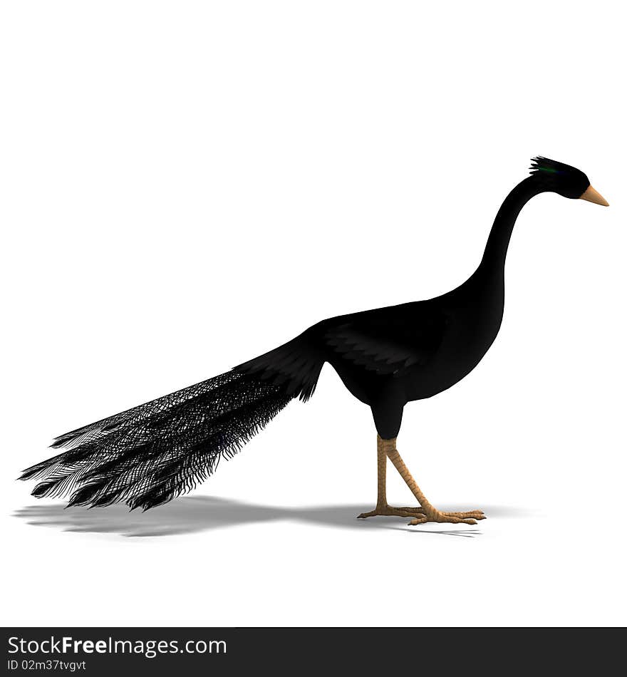 Black fantasy bird with beautiful feathers. 3D rendering with clipping path and shadow over white