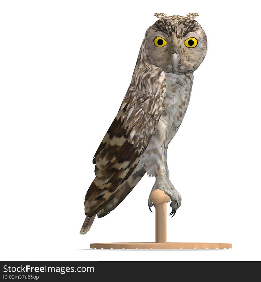 Little Owl Bird. 3D rendering with clipping path and shadow over white