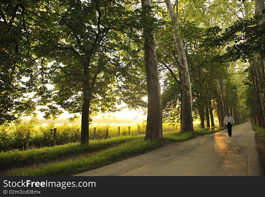 Sunrise in beautiful alley