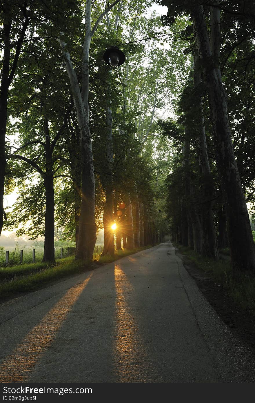 Beautiful fresh morning with sun rays and dramatic light. Beautiful fresh morning with sun rays and dramatic light