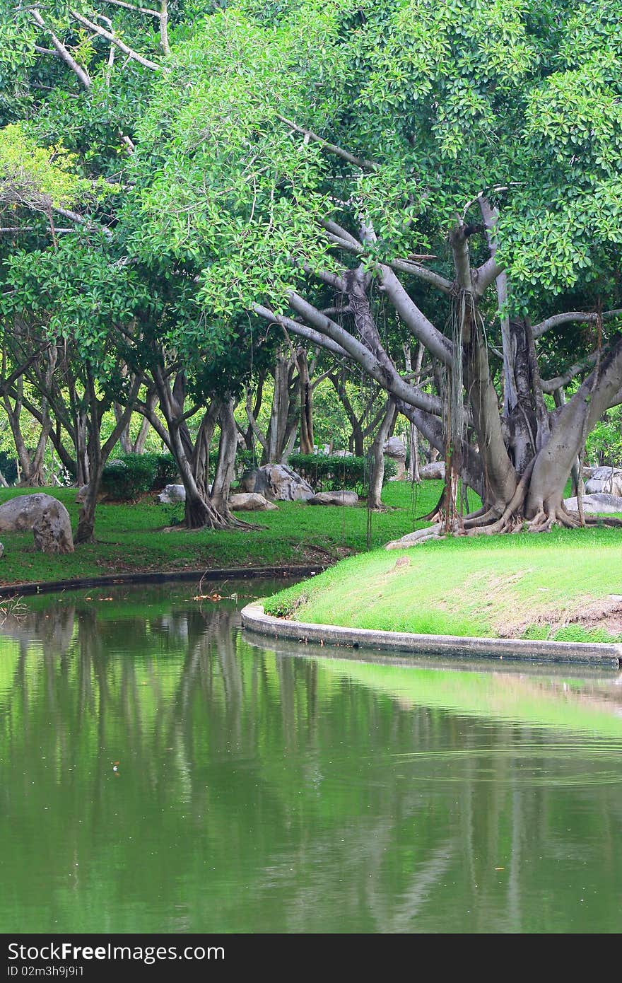 View on beautiful green park in the city.