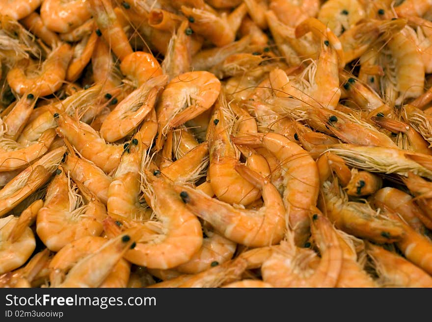 Close up of many shrimp. Close up of many shrimp