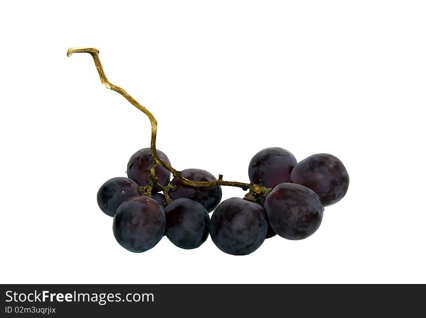 Fruits of a grapes