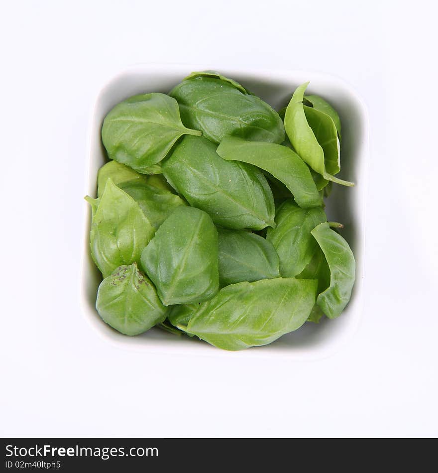 Basil