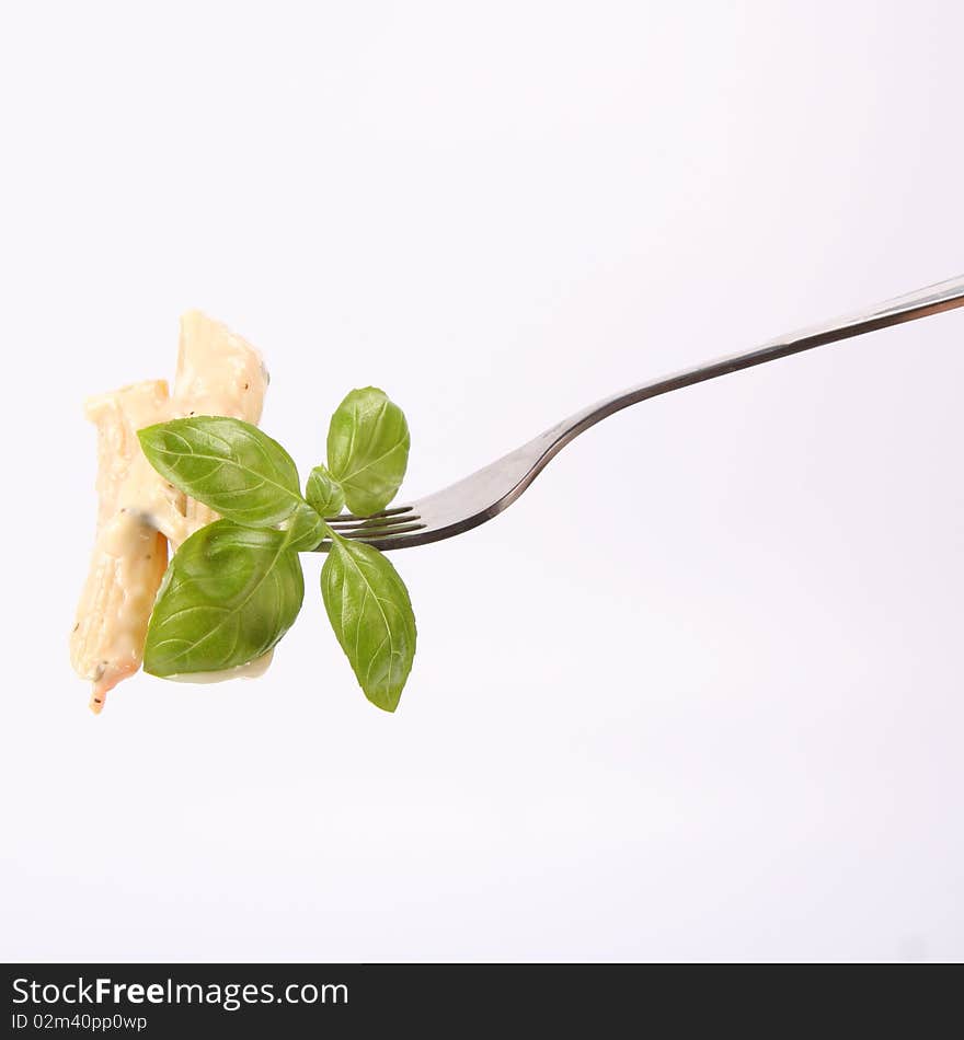 Penne with white sauce