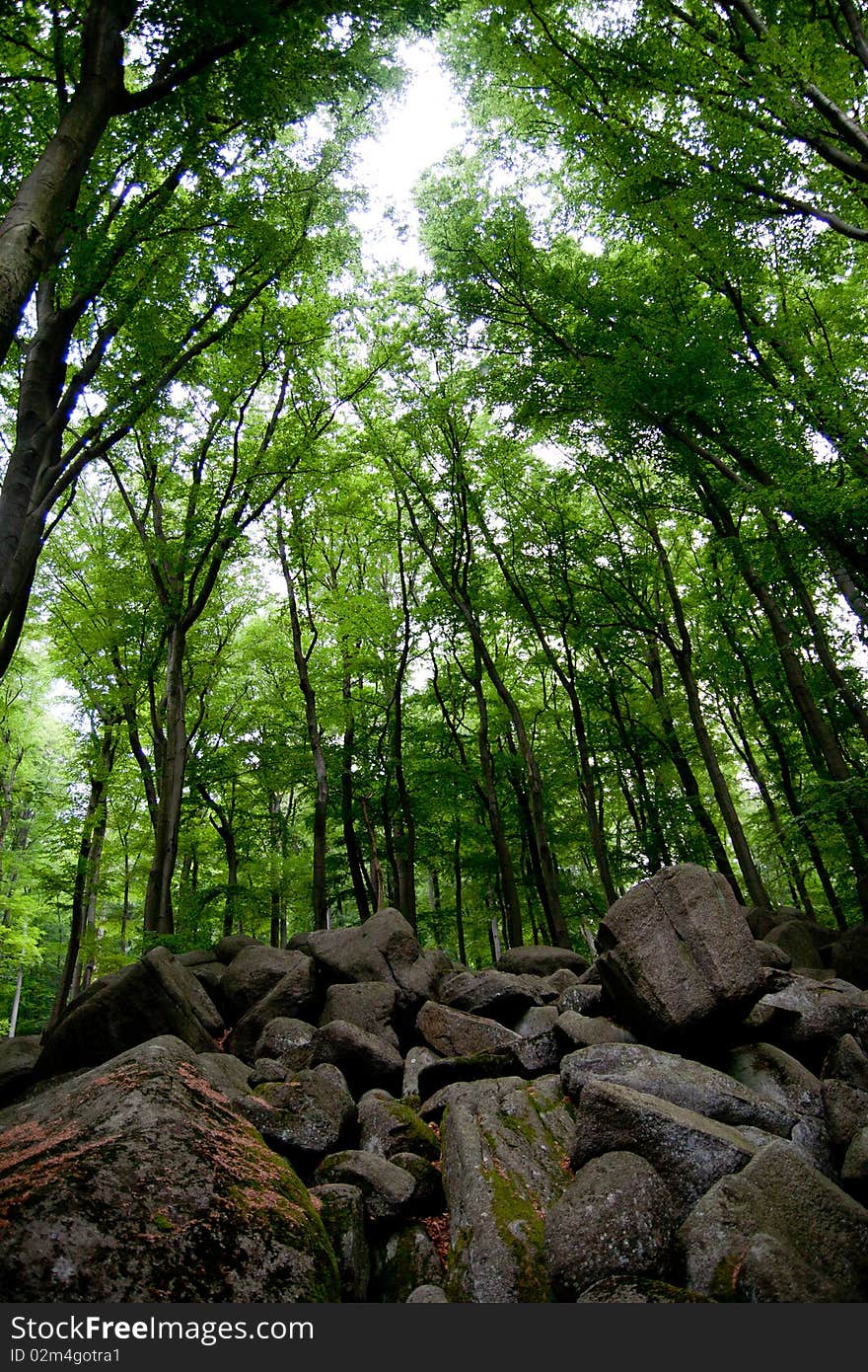 Geo park Felsenmeer (stone river), Germany. Geo park Felsenmeer (stone river), Germany