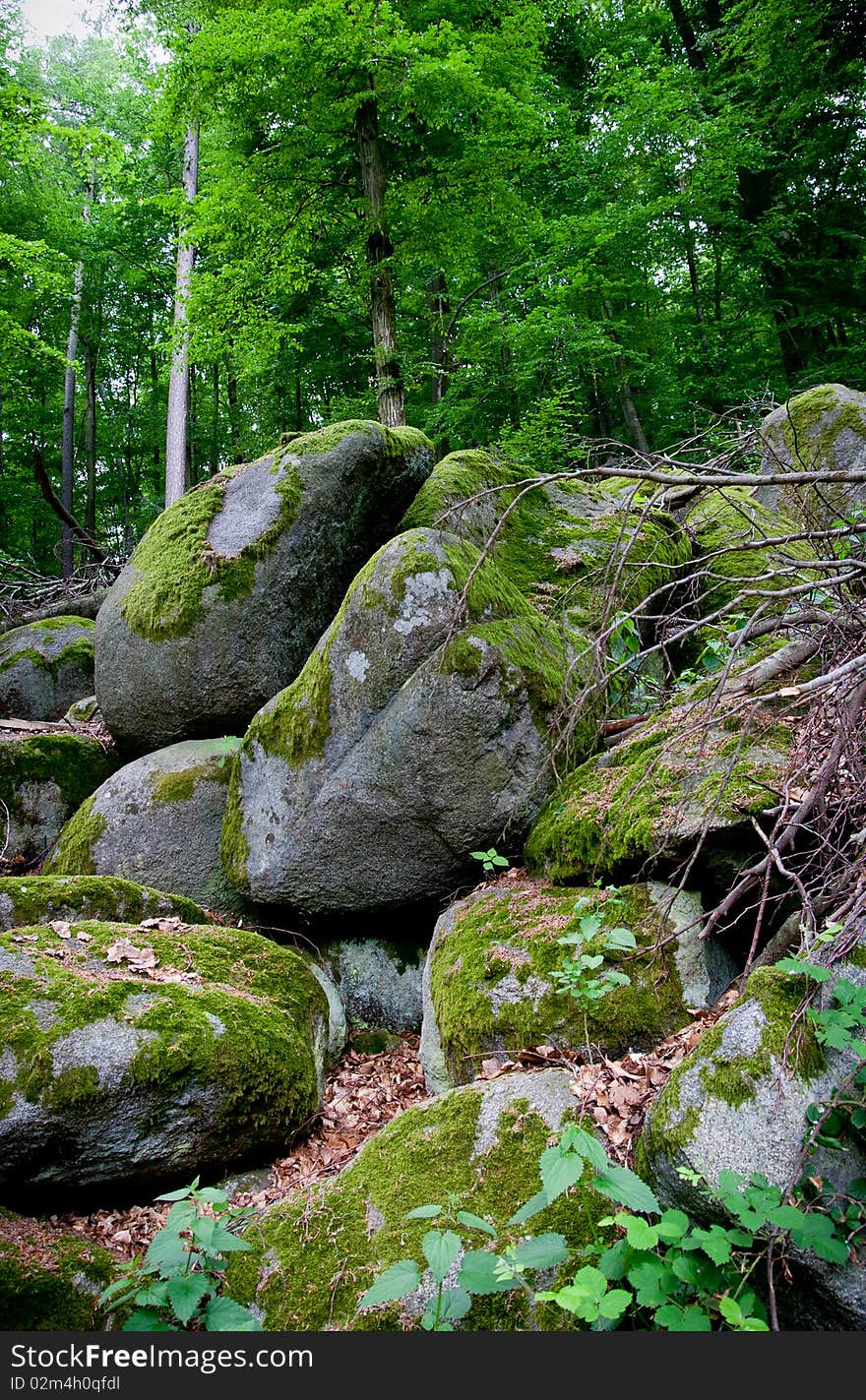 Geo park Felsenmeer (stone river), Germany. Geo park Felsenmeer (stone river), Germany