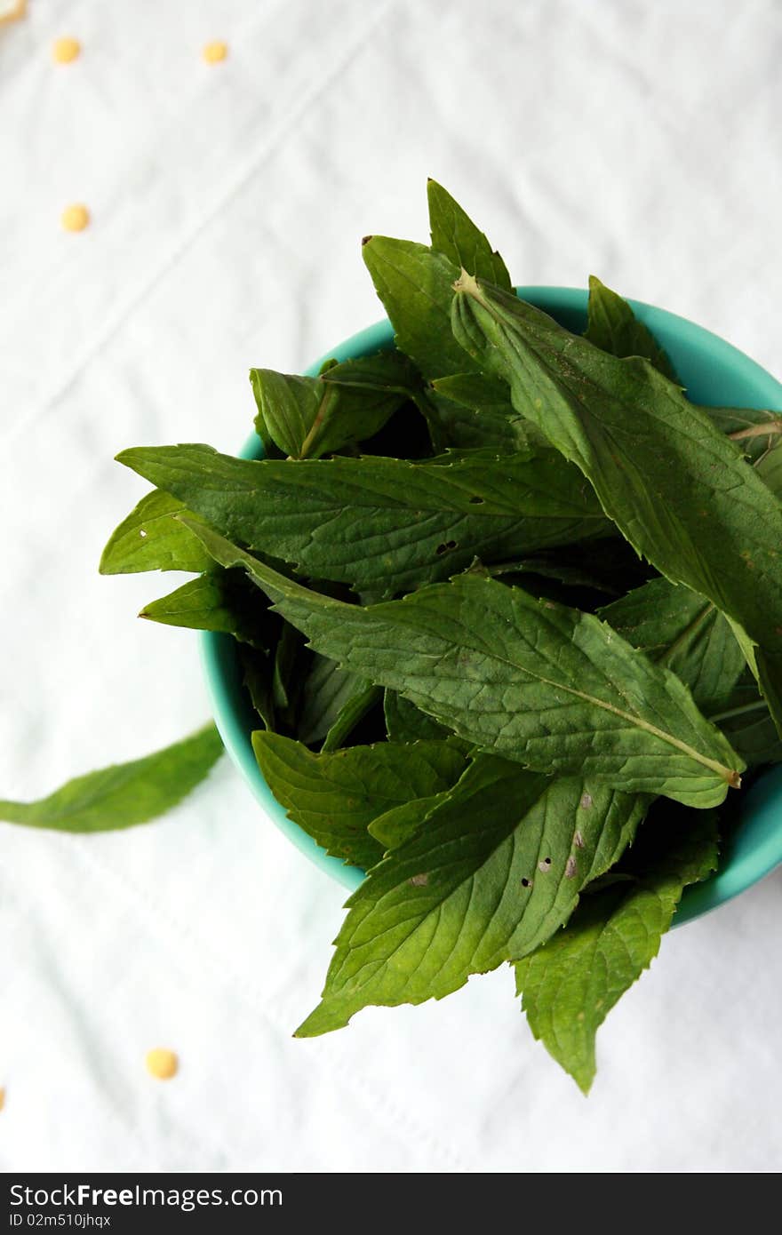 Fresh mint on a blue cup