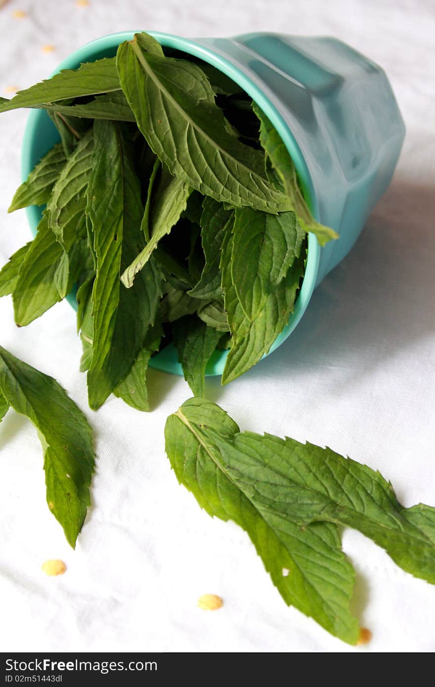 Fresh mint in a blue cup