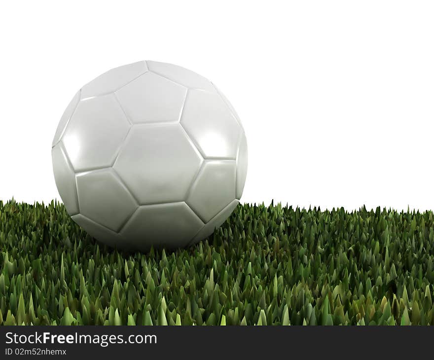 Ball On Grass